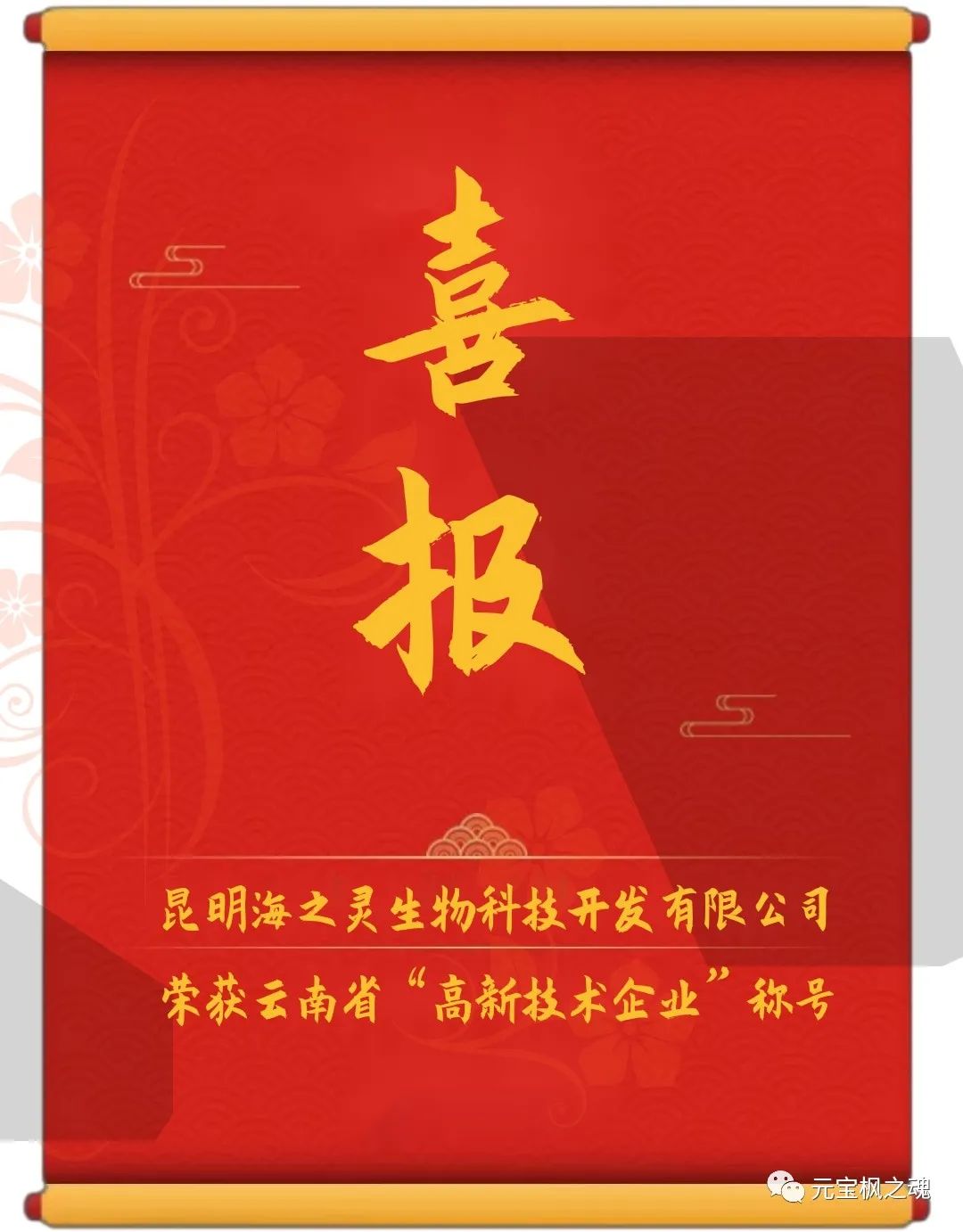 熱烈祝賀公司榮獲云南省“高新技術企業”稱號